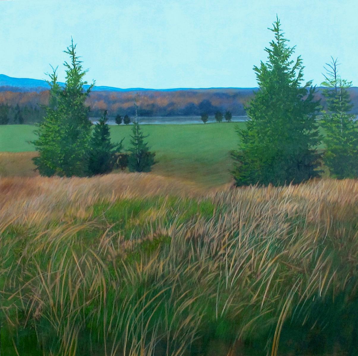 Commission for Sherman Hospital,   canvas # 5,    6' X 6'
