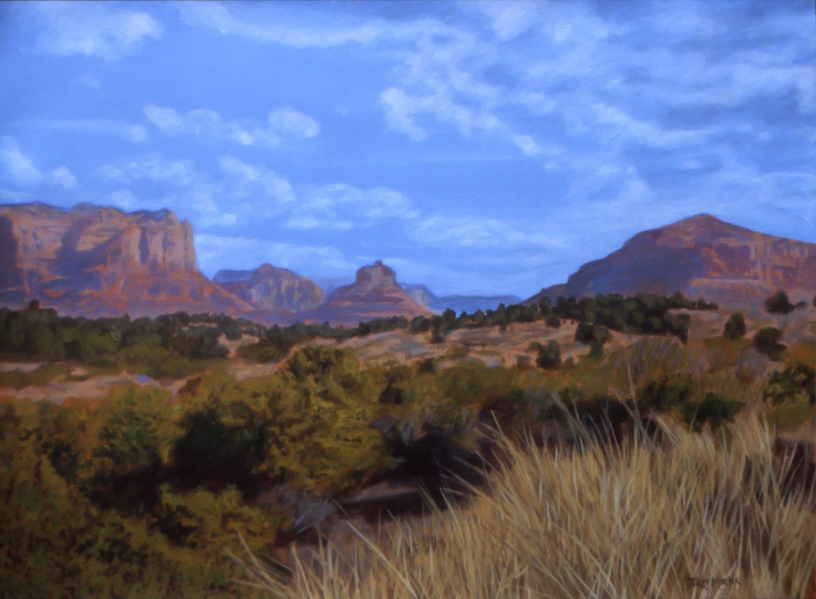 "Sedona Landscape # 4"  22 X 30"  oil on paper