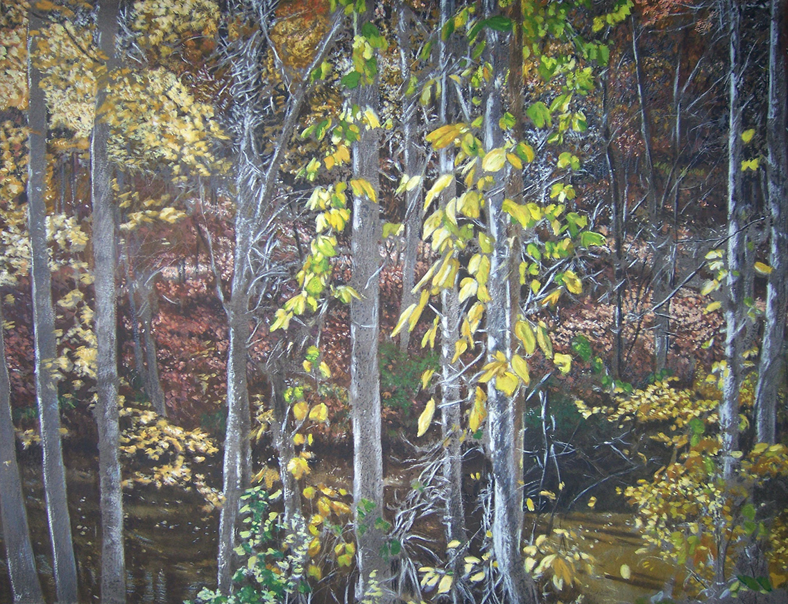 "By the Creek, South Carolina # 2     22" X 30"   mixed media on watercolor paper