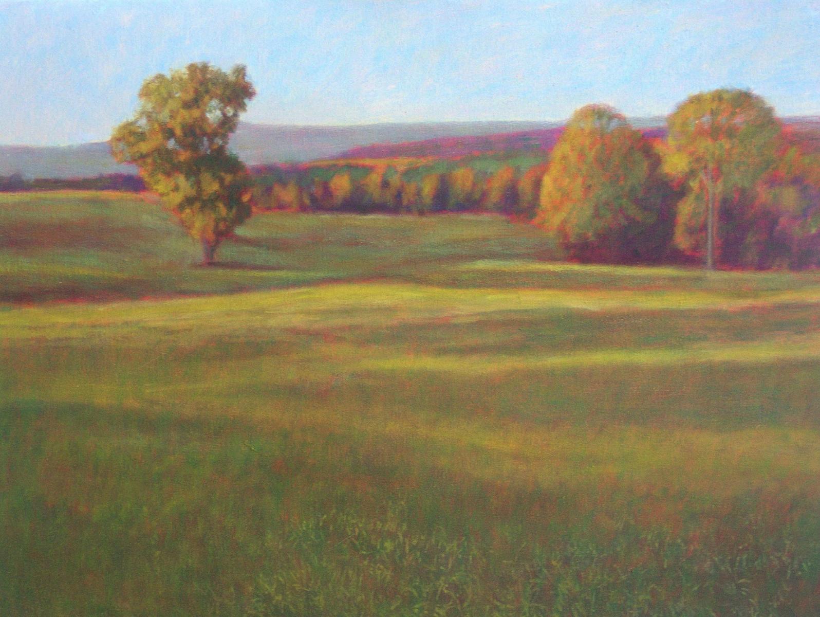 "Late Summer in San Augustine"  20" X 24"  oil on canvas
