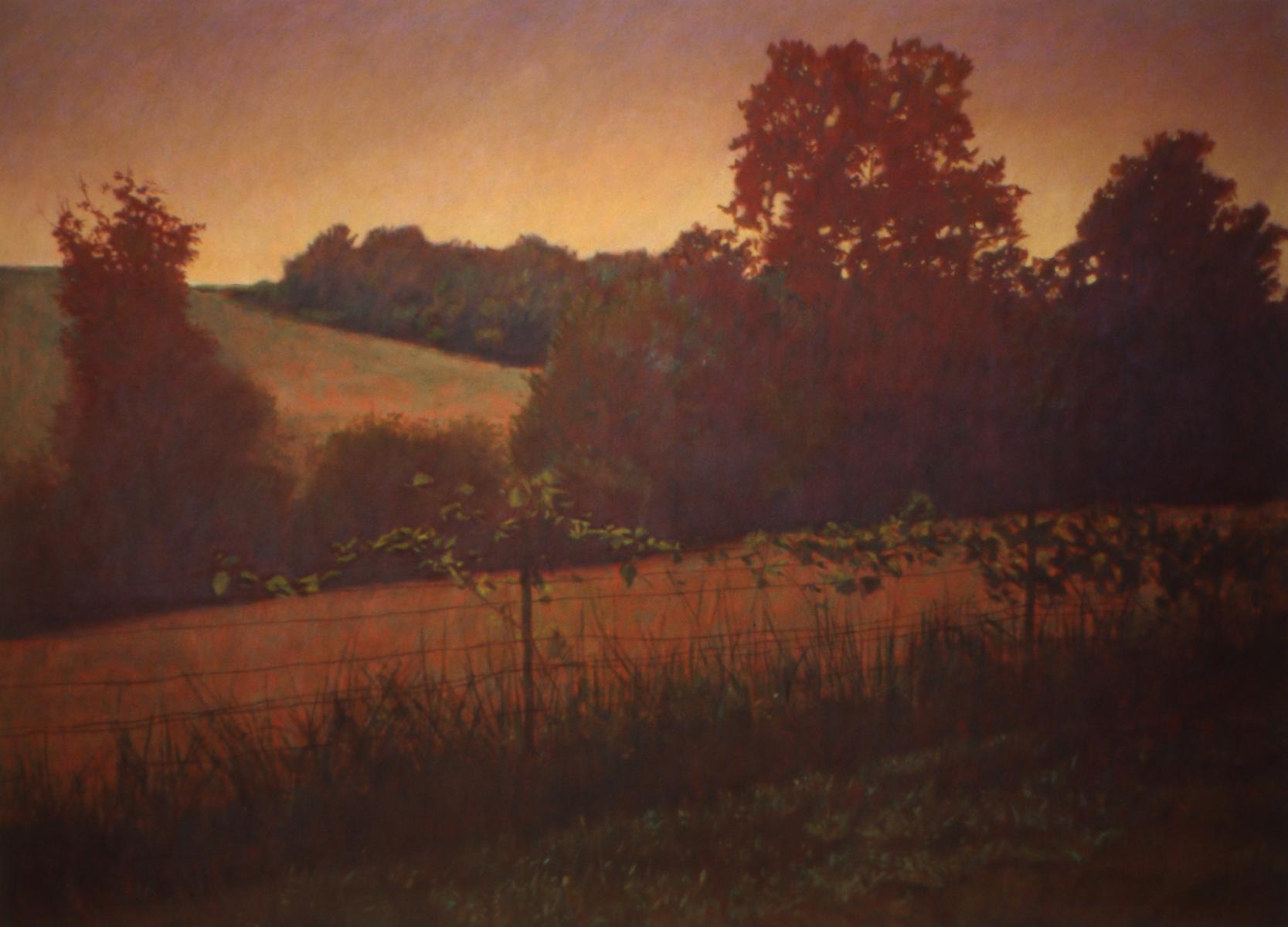 "Missouri Dusk"   36" X 48"   oil on canvas