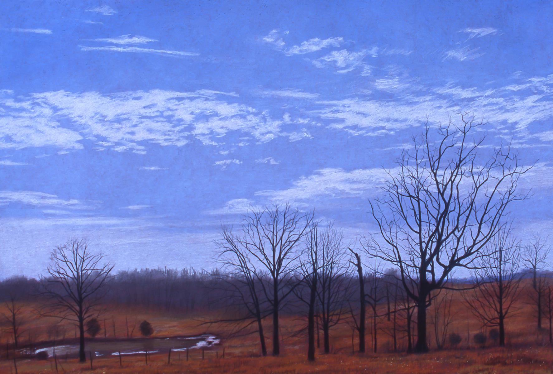 "The End of Autumn"    22" X 30"   pastel on paper
