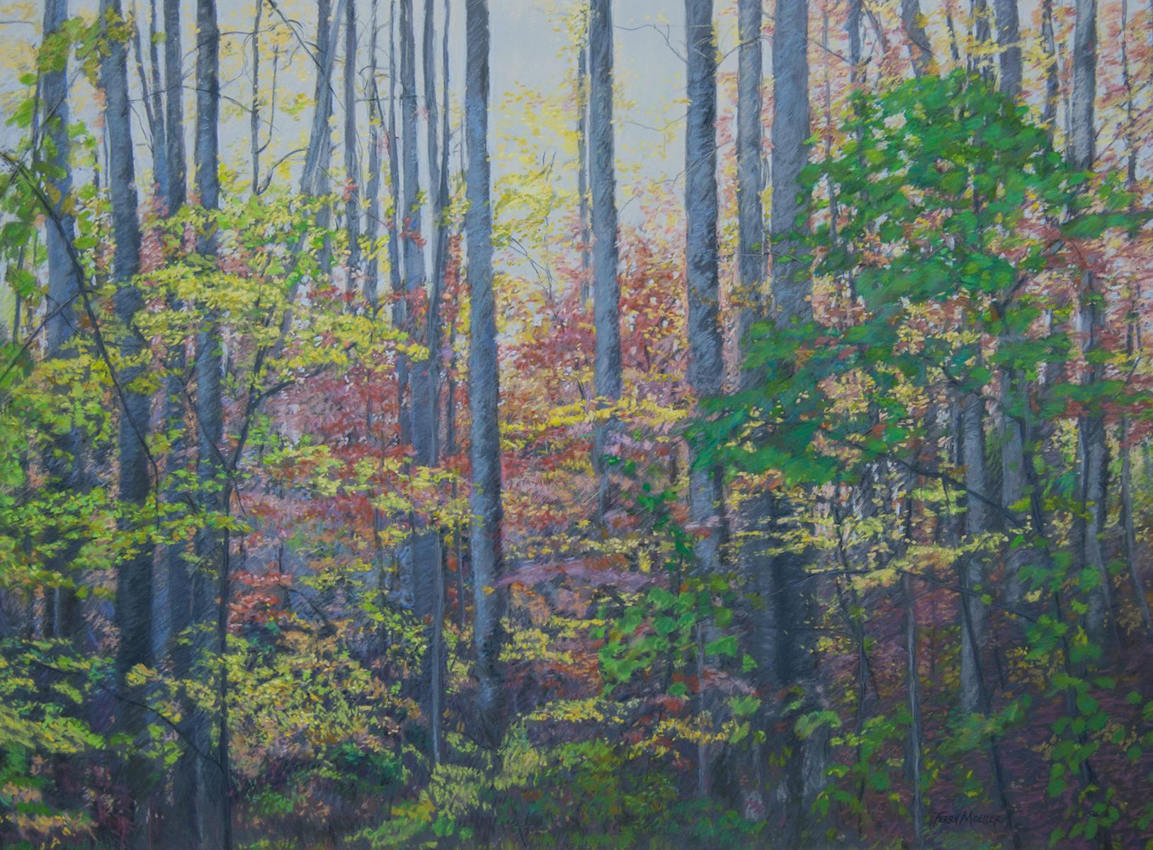 "Autumn Morning"   24" X 32"   pastel on panel