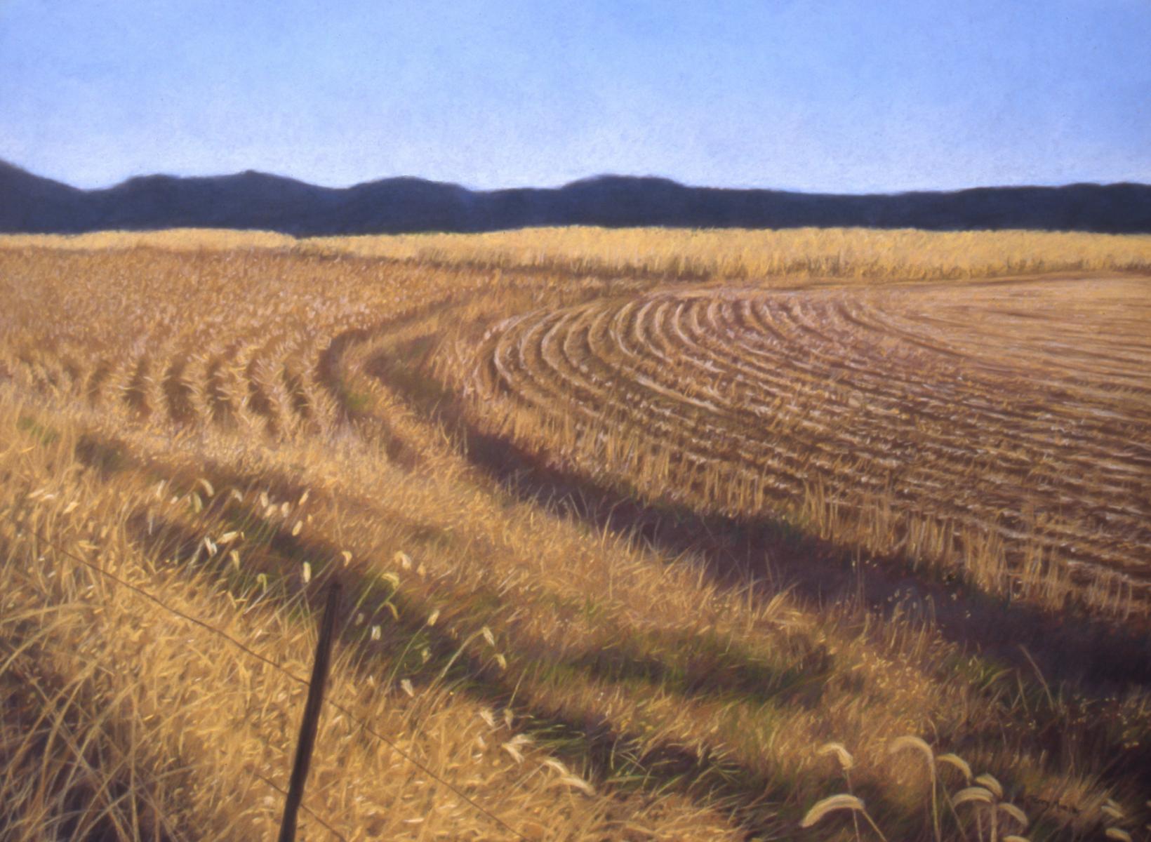 "Rhythms in the Meadow"    22" X 30"   pastel on paper