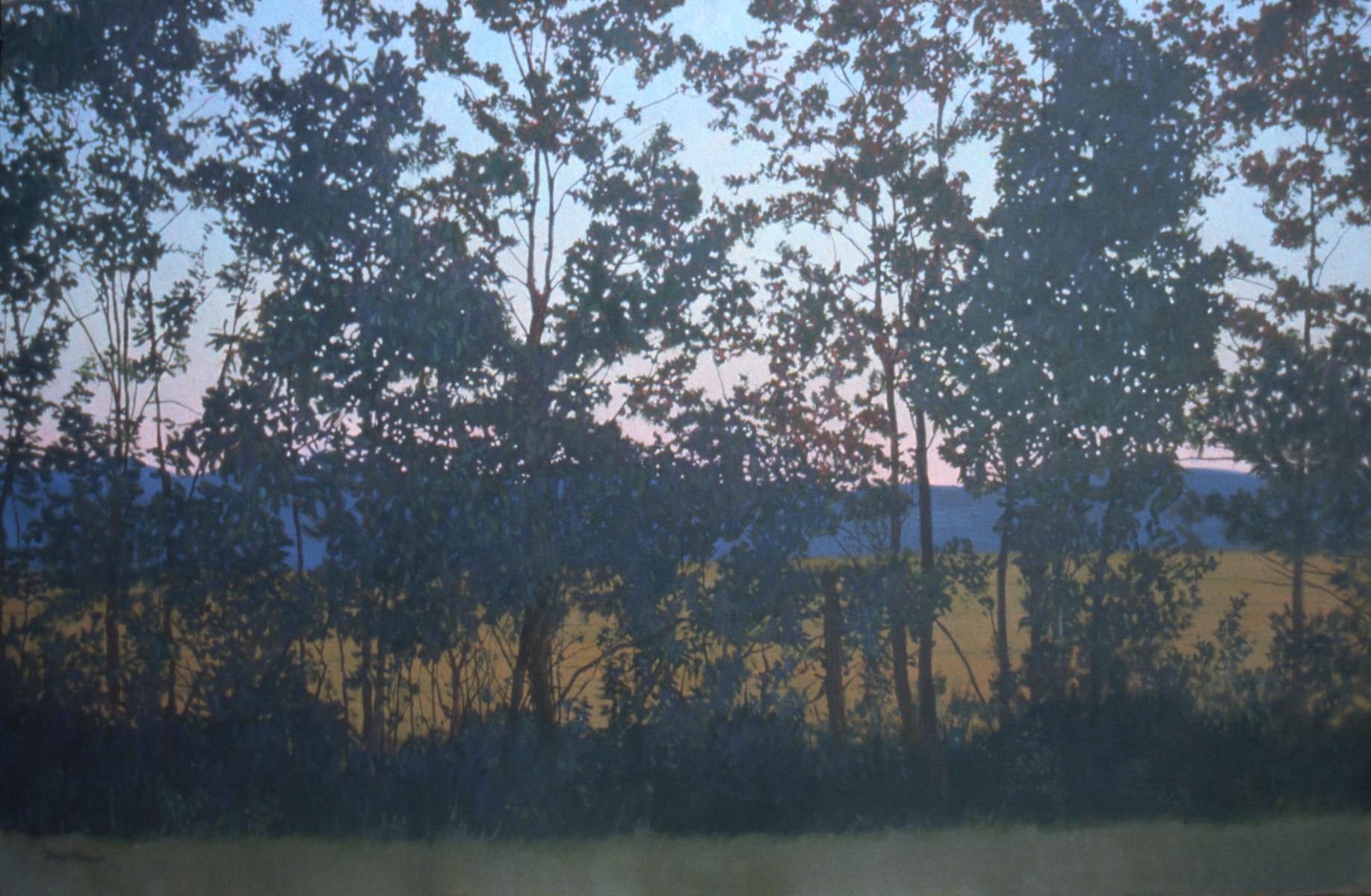 "Late Summer Landscape"   24" X 36"   oil on canvas