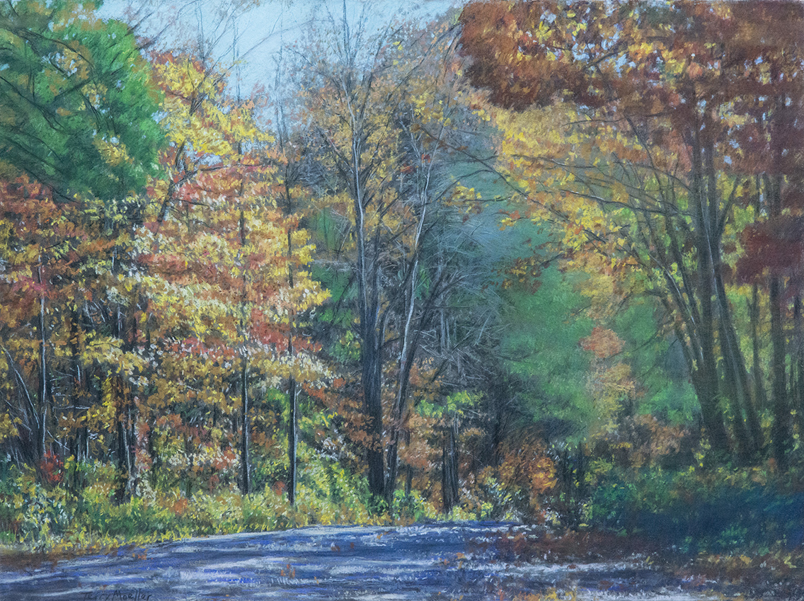 "Country Road. South Carolina # 2"   22" X 30"   pastel on paper