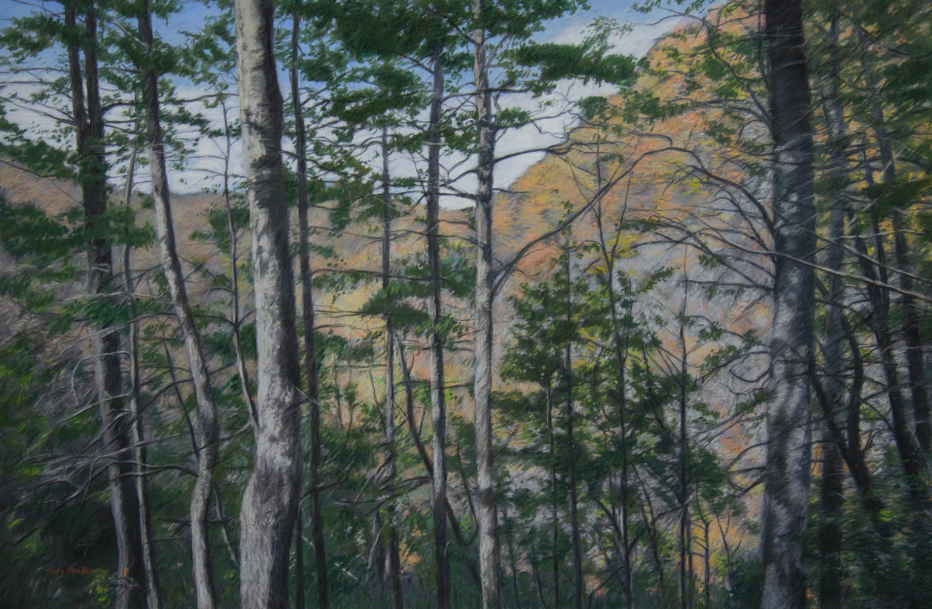 "The Woodlands"  24" X 36"  pastel on panel