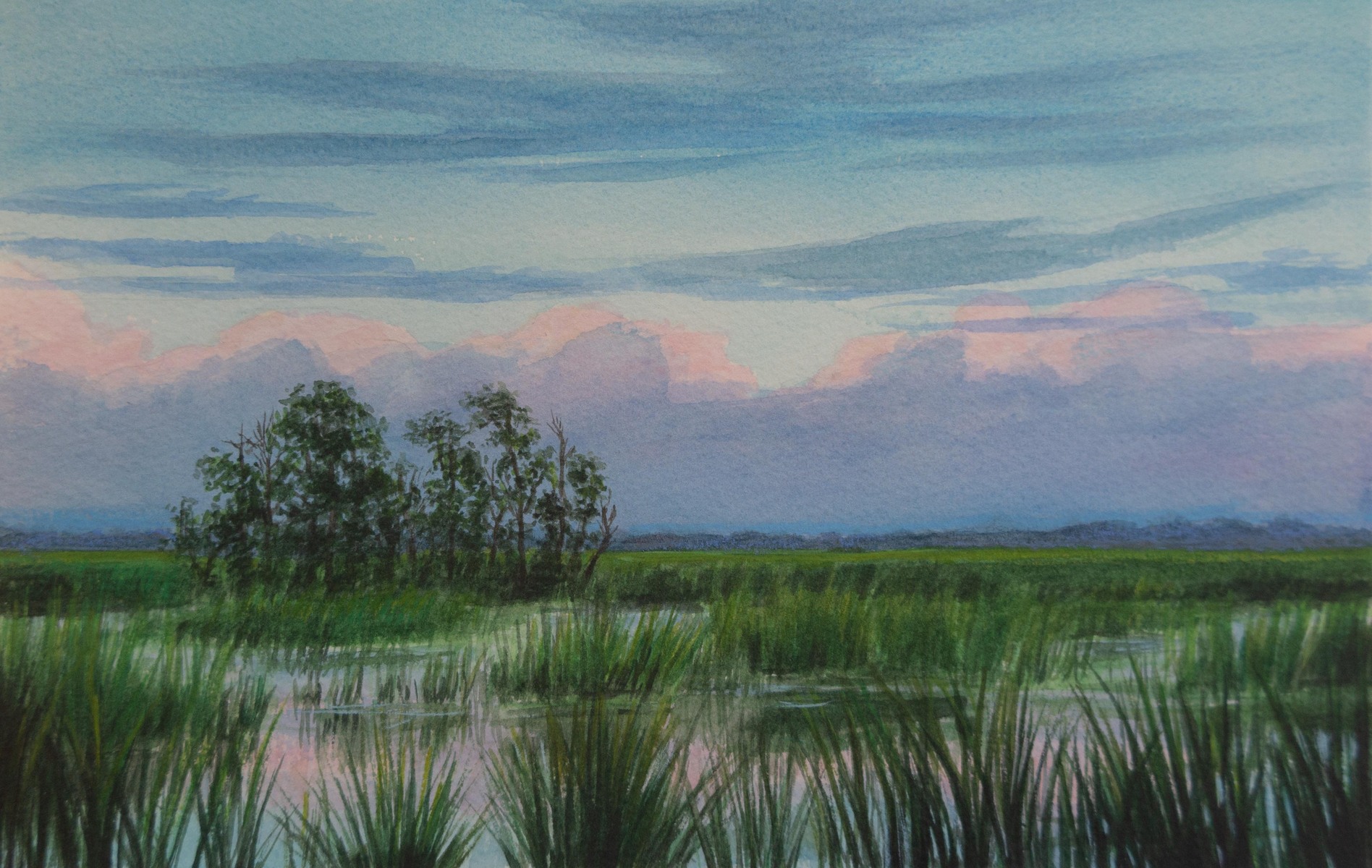 "Evening Clouds Beyond the Marsh"     7.5" X 11"     watercolor on 140 lb. watercolor paper