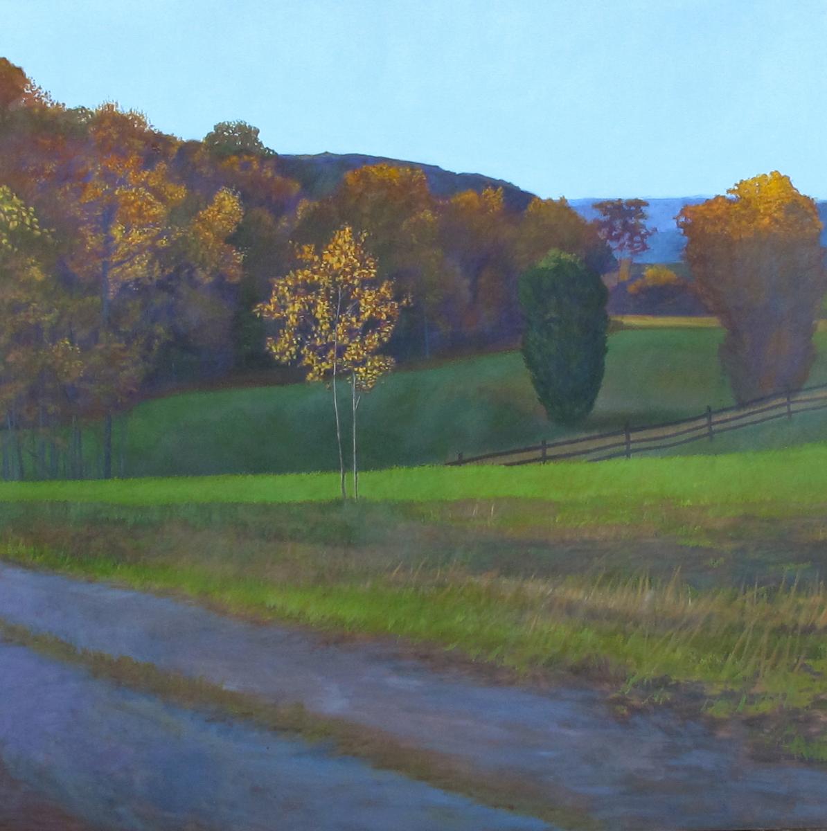 Commission for Sherman Hospital,   canvas # 2,    6' X 6'