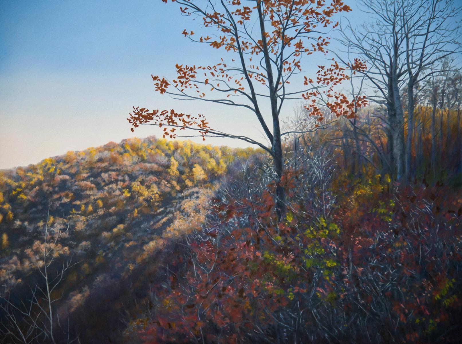 "The Other Side of the Mountain"  30" X 40"  oil on canvas