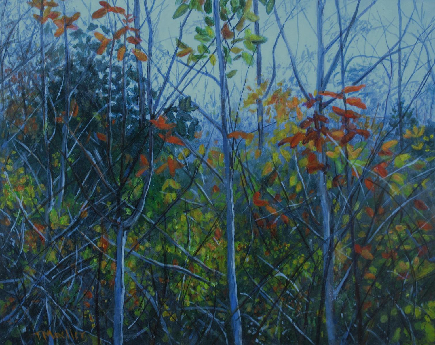 "Tangle of Branches in Blue"  8" X 10"  oil on panel