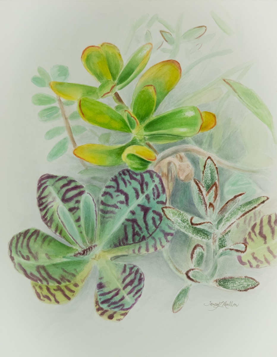 Succulents  11" X 14" Watercolor on 350 lb. Cotton Mixed Media Paper