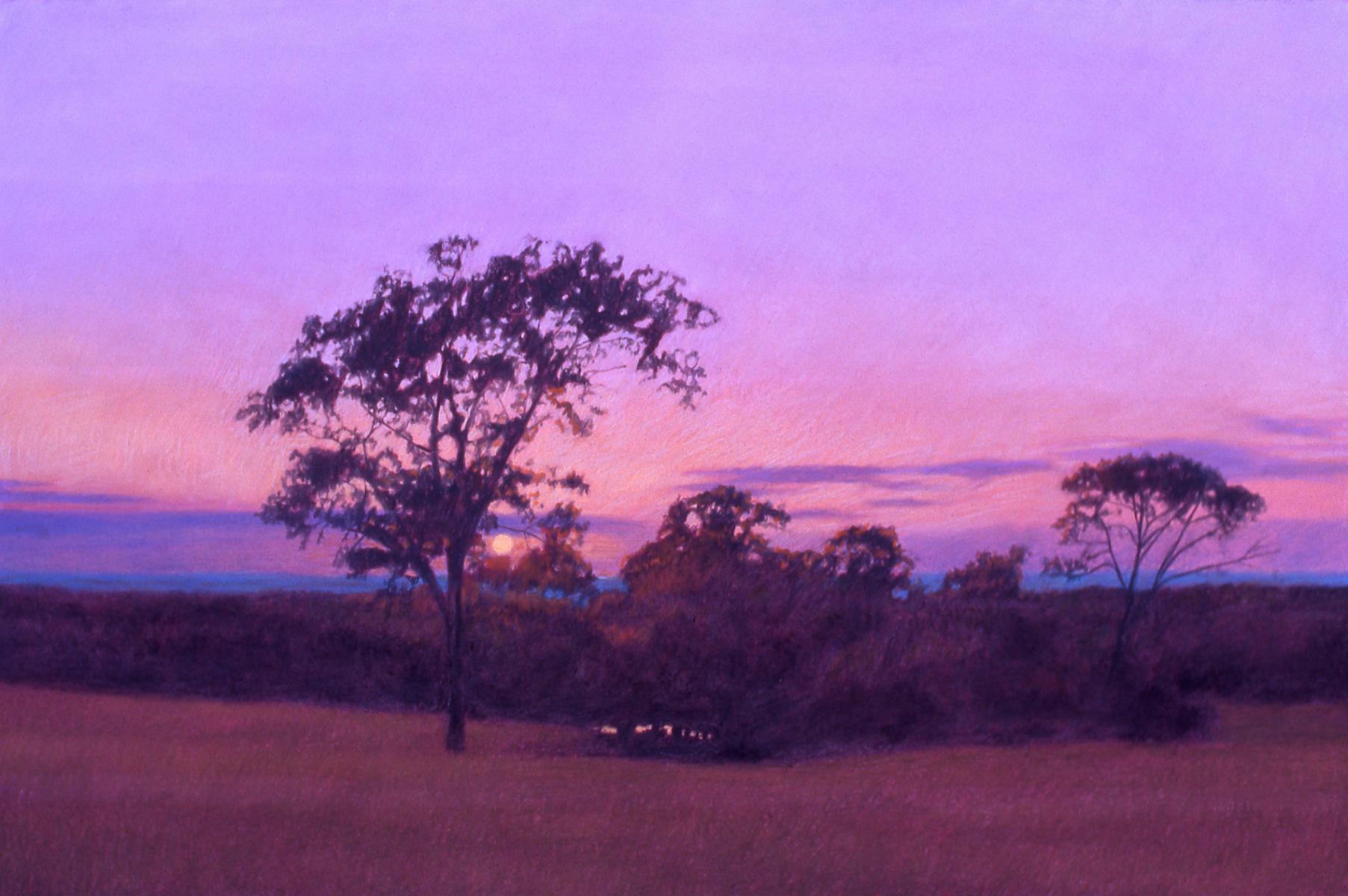 "San Augustine At Sunset"    22" X 30"   pastel on paper