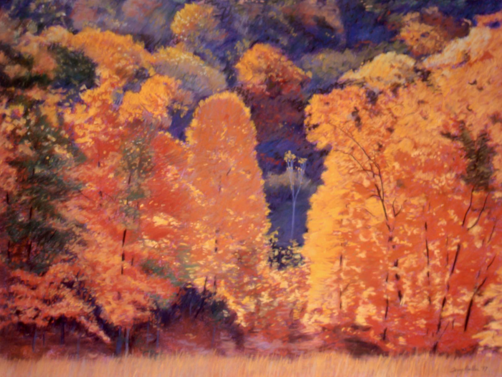 "Autumn Gold # 2"   22" X 30"   pastel on paper
