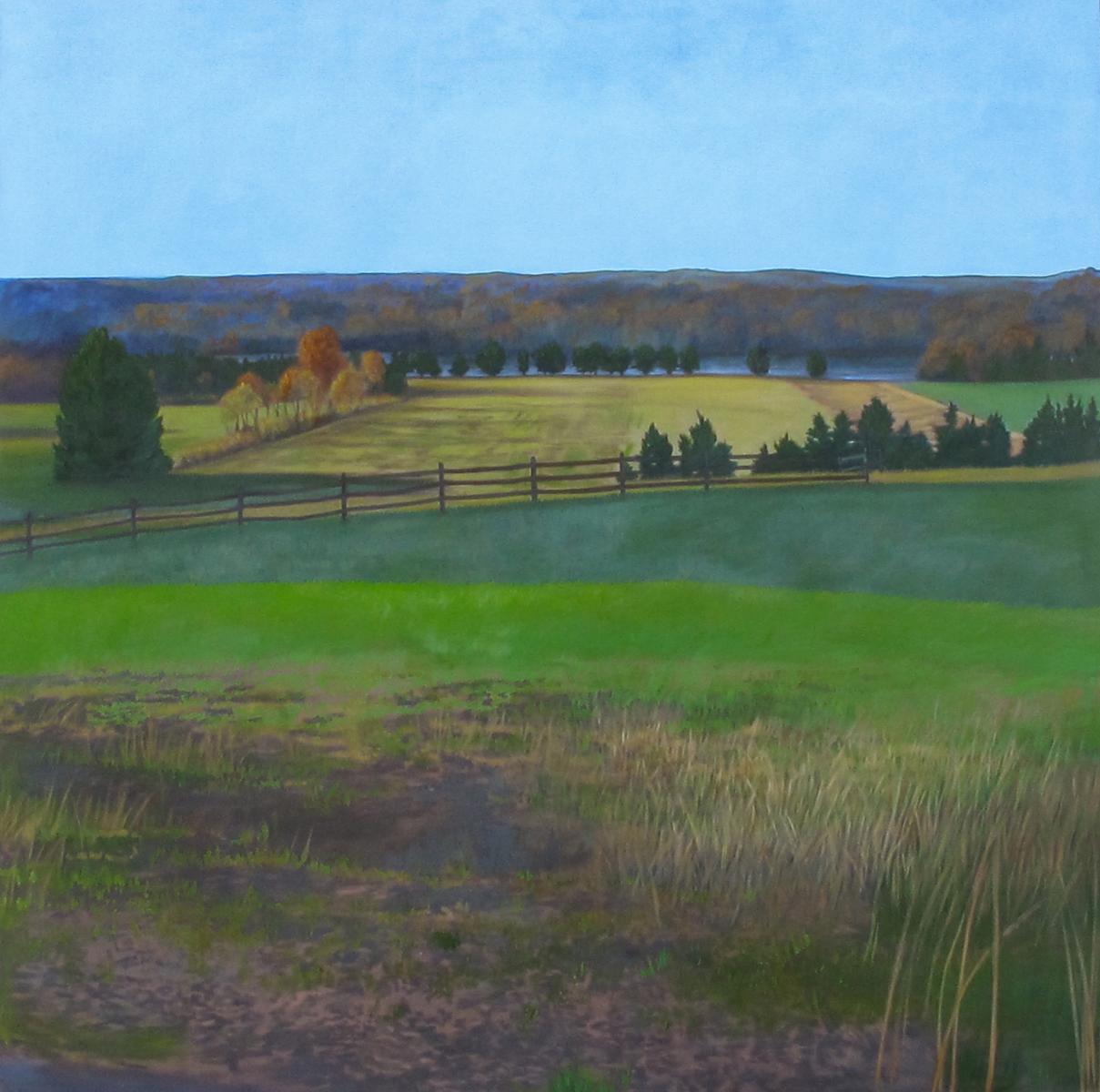 Commission for Sherman Hospital,   canvas # 3,    6' X 6'