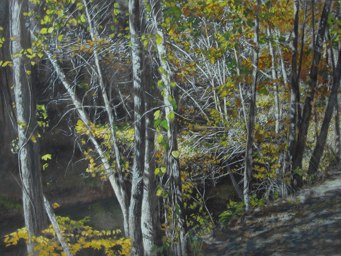 "By the Creek, South Carolina # 1"     22" X 30"   mixed media on watercolor paper