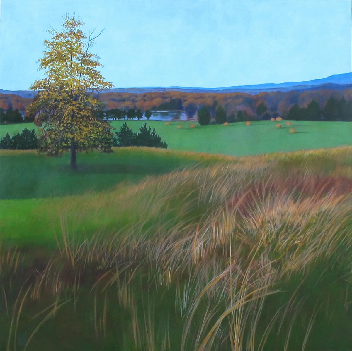 Commission for Sherman Hospital,   canvas # 4,    6' X 6'