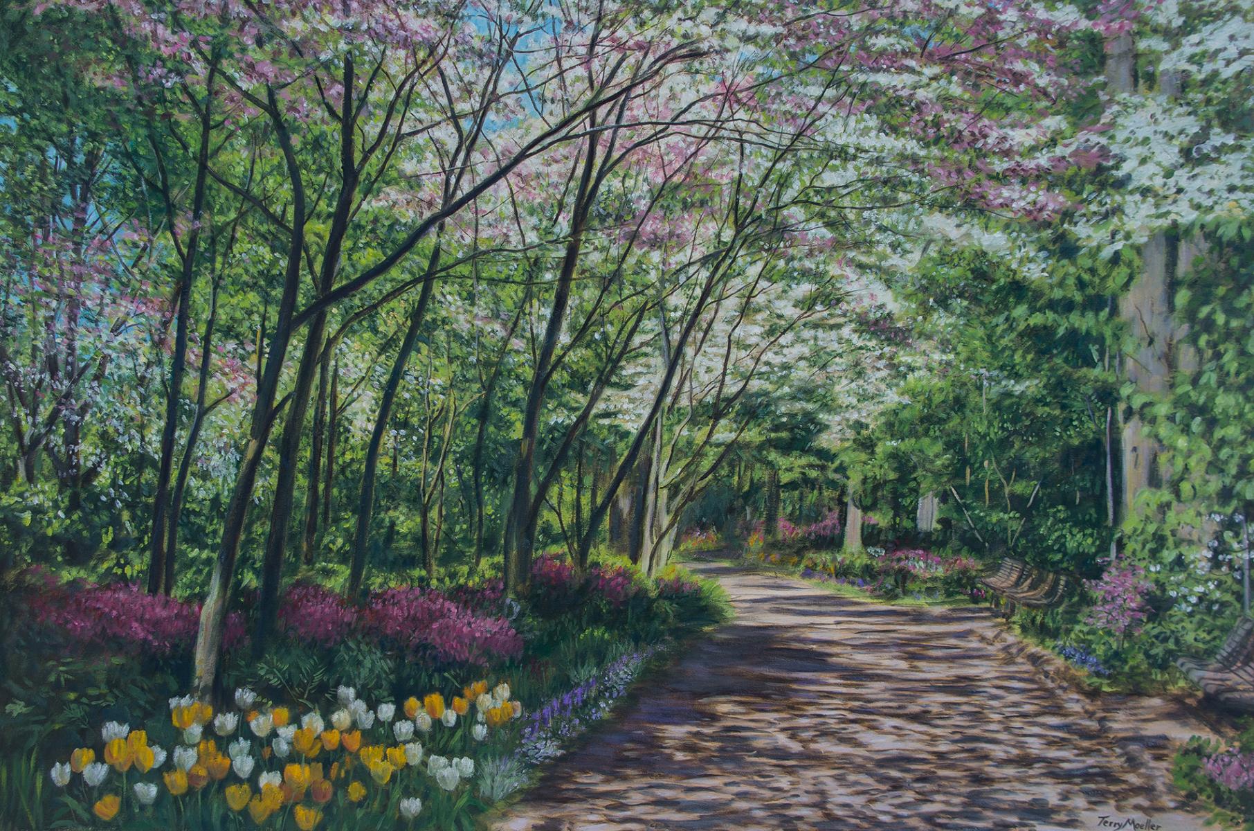 "Canopy of Dogwoods"  24" X 36"  oil on canvas