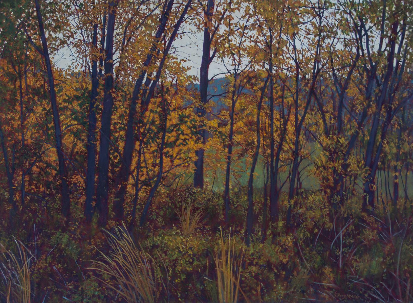 "Amber Leaves"    22" X 30"   oil on canvas
