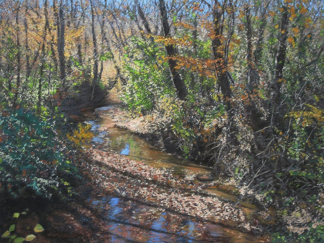 "Sunlight on a Woodland Stream # 2"     24" X 32"    pastel on panel