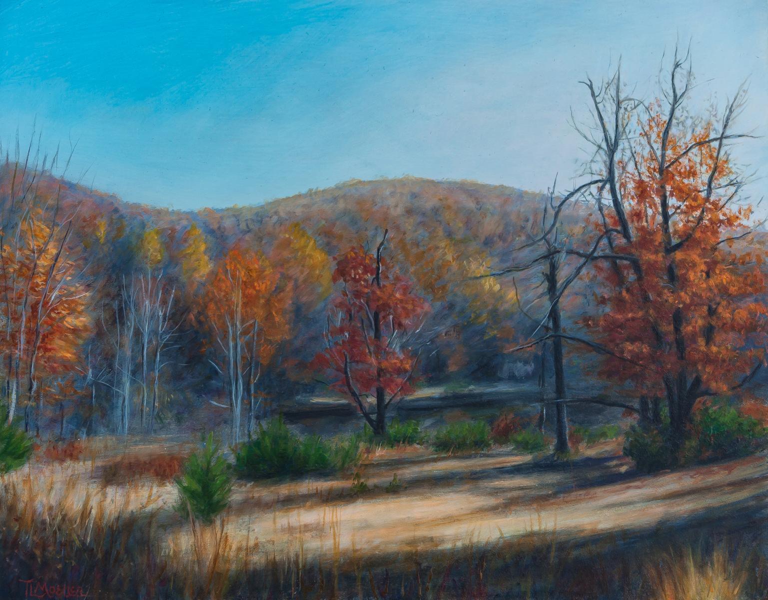 "Mountain Top, North Carolina"  11" X 14"  oil on panel