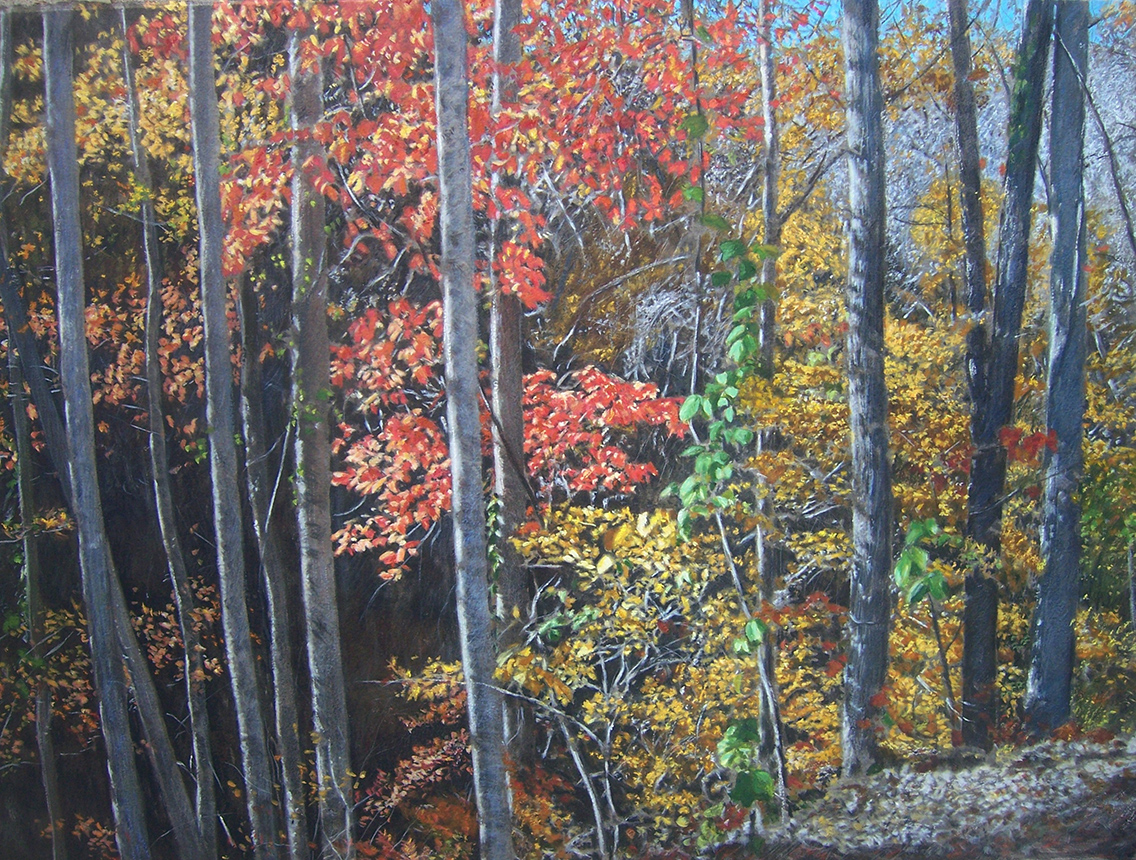 "Edge of the Woods, South Carolina    22" X 30"   mixed media on watercolor paper