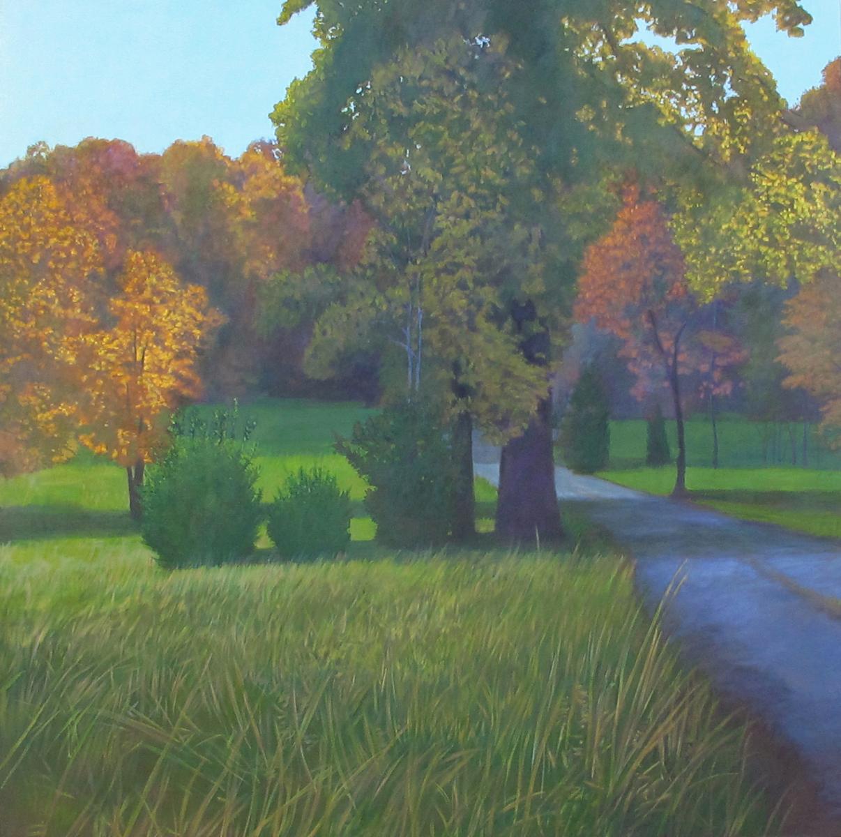 Commission for Sherman Hospital,   canvas # 1,    6' X 6'